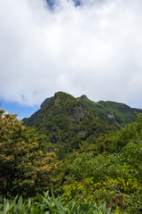 登山道からみた寒風山（かんぷうざん）
