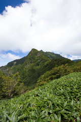 Fototapeta premium 登山道からみた寒風山（かんぷうざん）を望む爽やかな自然景観