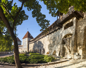 Fototapeta na wymiar Garden of Danish king in Tallinn, Estonia