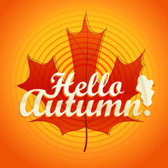 Hello autumn logo. Color maple leaf vector illustration