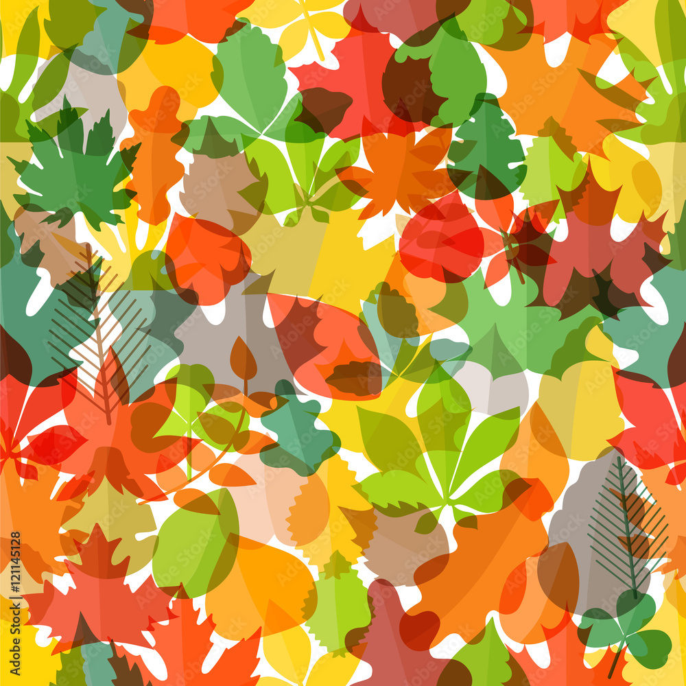 Poster Different color autumn leaves seamless pattern