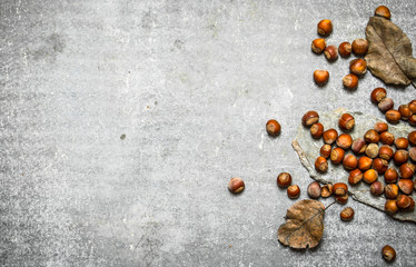 Hazelnut with dry leaves.