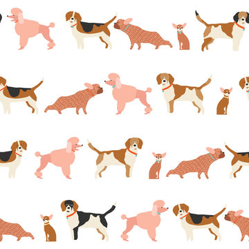 Dog puppy pattern seamless in vector