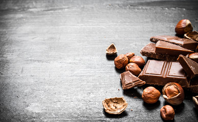Slices of chocolate with hazelnuts.