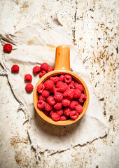 Wild raspberry in the Cup.