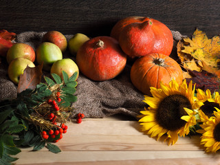 Autumn Still Life. In crop pumpkins, apples, sunflowers, branches with berries of mountain ash and ears of wheat