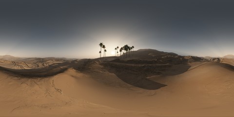 panorama de palmiers dans le désert au coucher du soleil. fait avec celui à 360 degrés