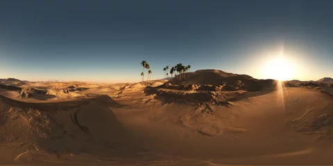 Papier Peint photo Lavable Sécheresse panorama de palmiers dans le désert au coucher du soleil. fait avec celui à 360 degrés