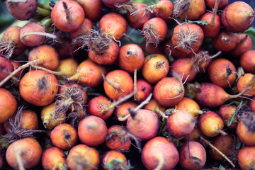 Fresh homegrown organic beet roots vegetable for ingredients cookingsoup or other foods on the stand  at Farmer market with toned color and selective focus