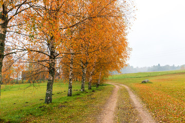 Obraz premium Countryside road in autumn, Europe