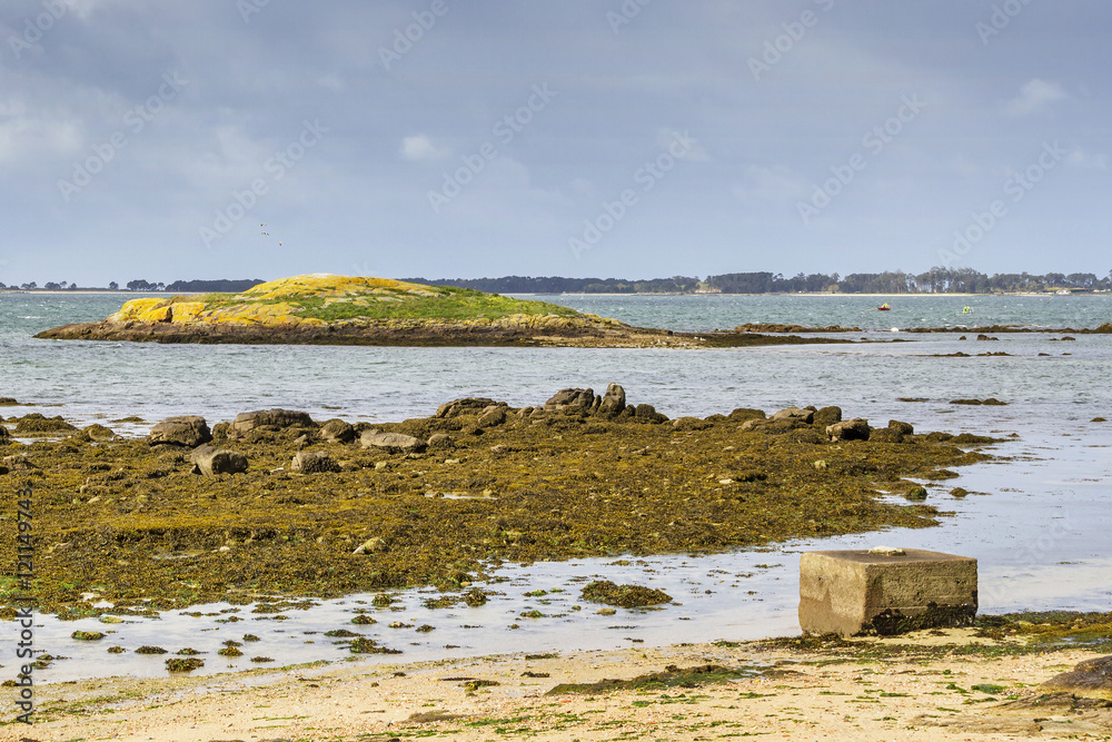 Wall mural islet in patinhas beach