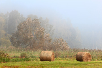 Jesienne Sianokosy    © Wojciech Lisiński