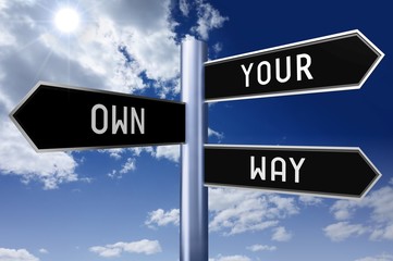 Obraz premium Signpost with three arrows - your own way