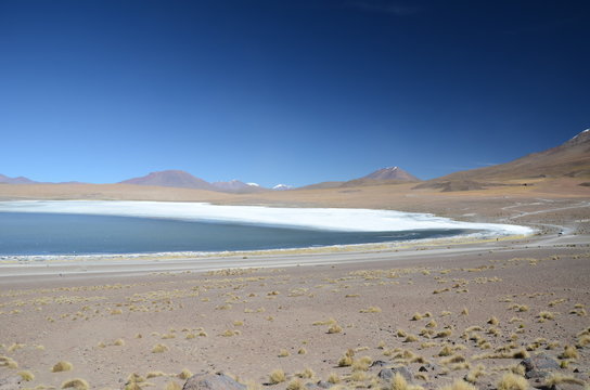 Salt and lake Altiplano Bolivia