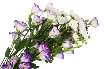 bouquet of different flowers isolated on white