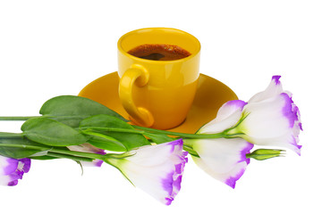cup of coffee with flowers isolated on white