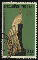 peacock on the tree