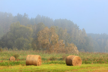 Jesienne Sianokosy © Wojciech Lisiński