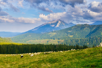Rusinowa Polana in Tatra Mountain, Poland © grzegorz_pakula