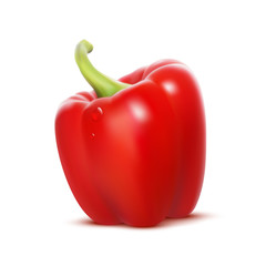 Red sweet bell pepper isolated on white background.