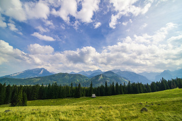 Rusinowa Polana in Tatra Mountain, Poland © grzegorz_pakula