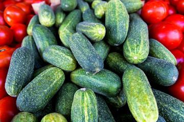 Organic fresh cucumbers