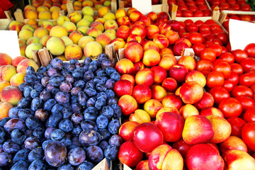 Organic fresh vegetables and fruit