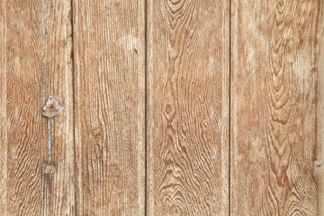 Wood texture