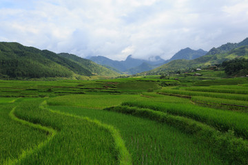 Fototapeta na wymiar Rice fields on terraced of Xa Nam Bung, Vietnam