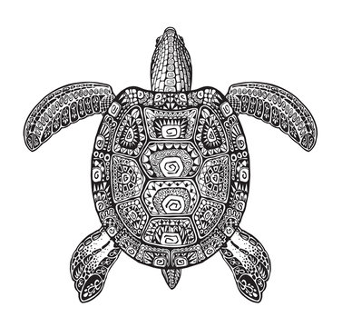 Terrapin, turtle painted tribal ethnic ornament. Hand drawn vector illustration with decorative patterns