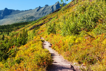 Autumn in Glacier Park