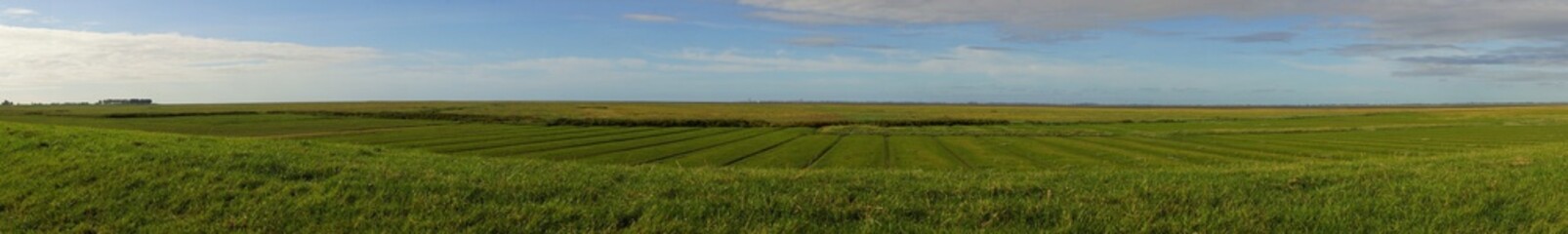 Obraz premium Panoramic view of the North Sea at low water