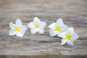 Fototapeta na wymiar Frangipani flowers on wooden table
