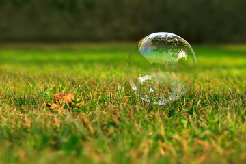 Soap bubbles on green natural background.