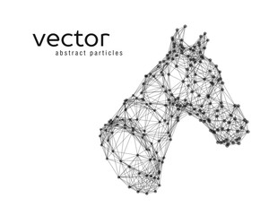 Abstract vector illustration of horse head.