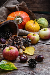 Naklejka na ściany i meble Autumn harvest of apples and pumpkins