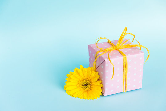 Pink dotted gift box and a yellow gerbera flower over a blue background.