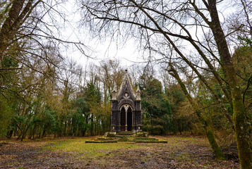 Monumental wood of Sasseto - Torre Alfina (Acquapendente, Italy)