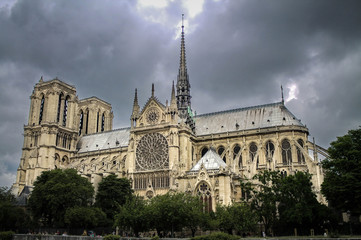 Fototapeta na wymiar The Stunning Notre Dame de Paris