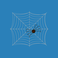 Spider on the web illustration