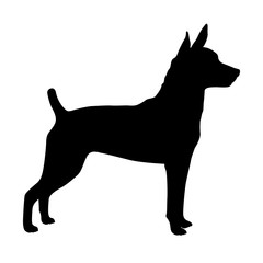 Dog rat terrier Vector illustration  black silhouette