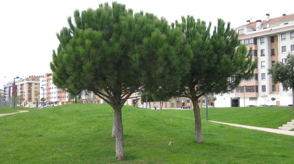 Calles de Burgos, España. Otoño