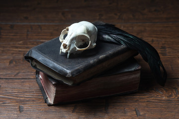 Vintage witchcraft still life