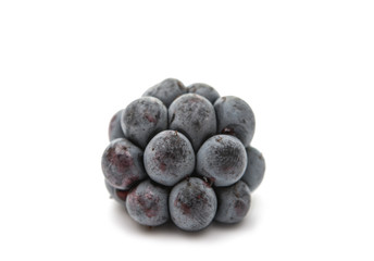 blackberries isolated