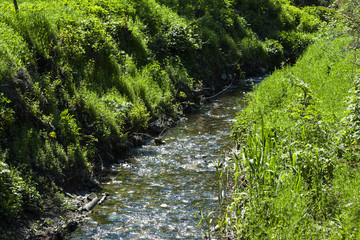 Obraz premium small stream of clear water