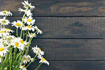Frame of chamomile flowers on dark rustic wooden background with
