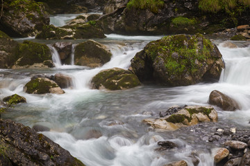 Fototapeta na wymiar fast forest river - endless stream