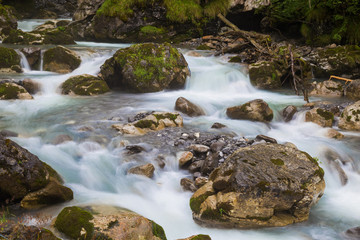 Naklejka na ściany i meble fast forest river - endless stream