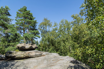 Sommerlandschaft auf dem Pfaffenstein, Sächsische Schweiz