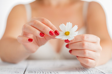 The girl tears off the petals of daisy.